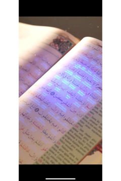 Mealli ve Türkçe Okunuşlu Gizli Kuran-ı Kerim Pembe